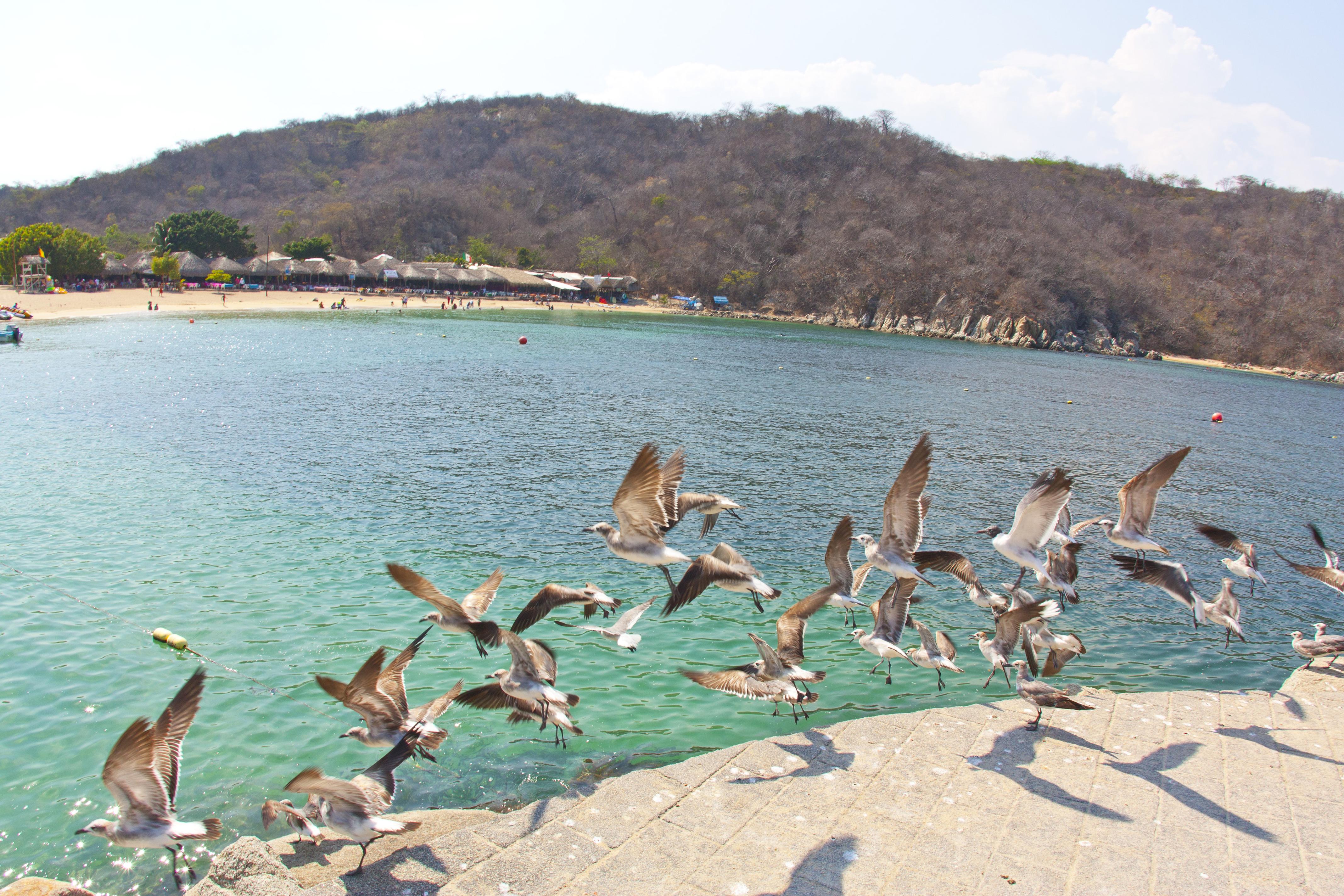Villa Blanca Huatulco Santa Cruz Huatulco Buitenkant foto